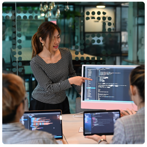 Software Developers and Tester